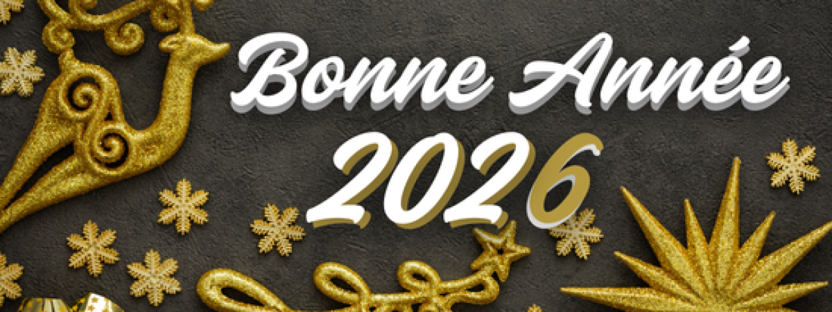 bonne année 