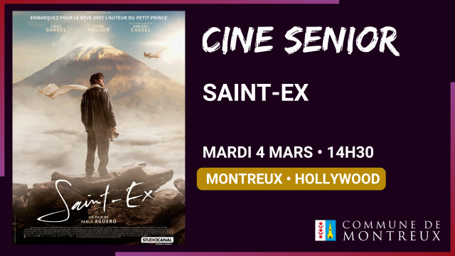 03.04 - montreux - saint-ex - site.png