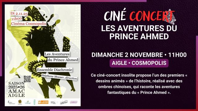 02.11 - CINÉ CONCERT - LES AVENTURES DU PRINCE AHMED - SITE.jpg