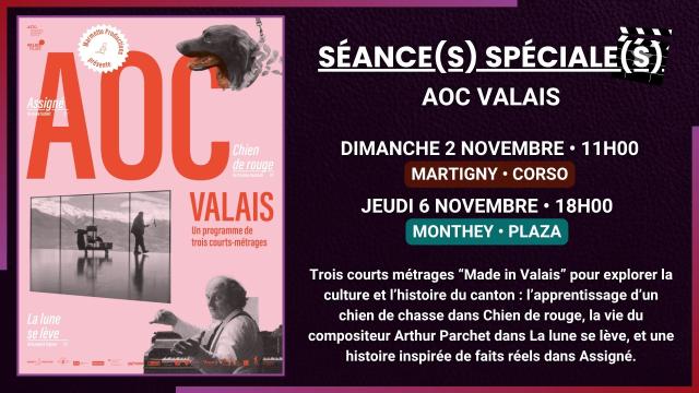 0206.11 - SEANCES SPECIALES - AOC VALAIS - SITE.jpg