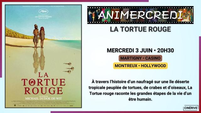 03.06 - ANIMERCREDI - LA TORTUE ROUGE - SITE.jpg