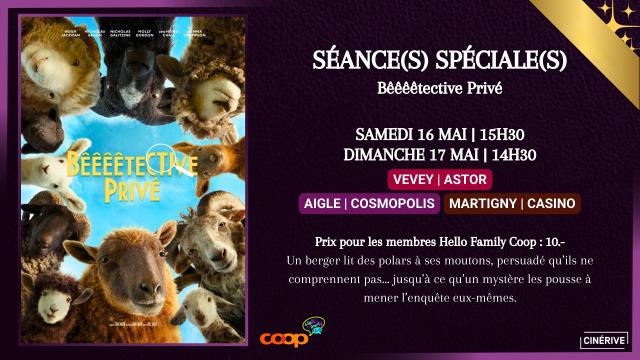 1617.05 - SÉANCE(S) SPÉCIALE(S) - BÊÊÊTECTIVE PRIVÉ - SITE.jpg