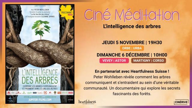 05.11_06.12 - CINE MEDITATION - L'INTELLIGENCE DES ARBRES - SITE.jpg