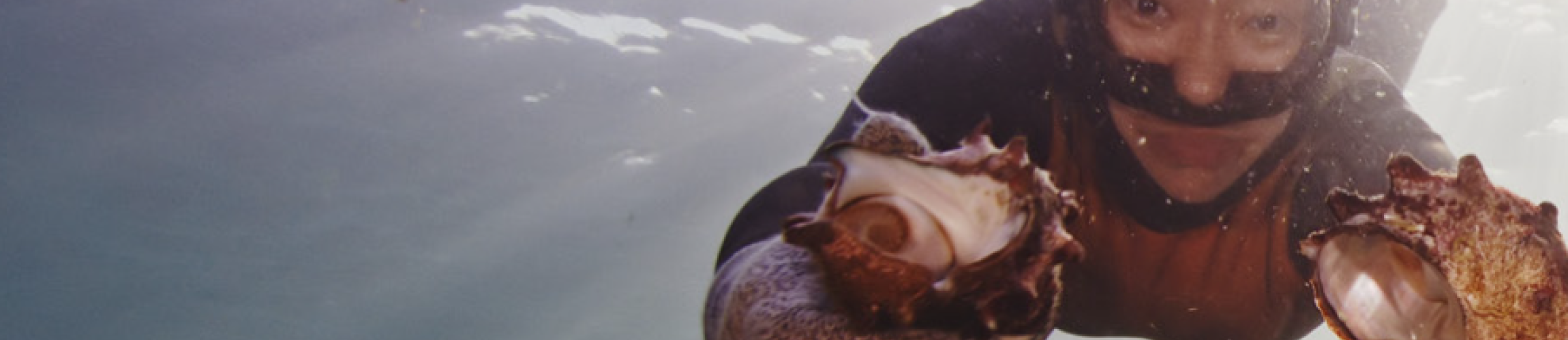 LA LEGGEREZZA SOMMERSA.png