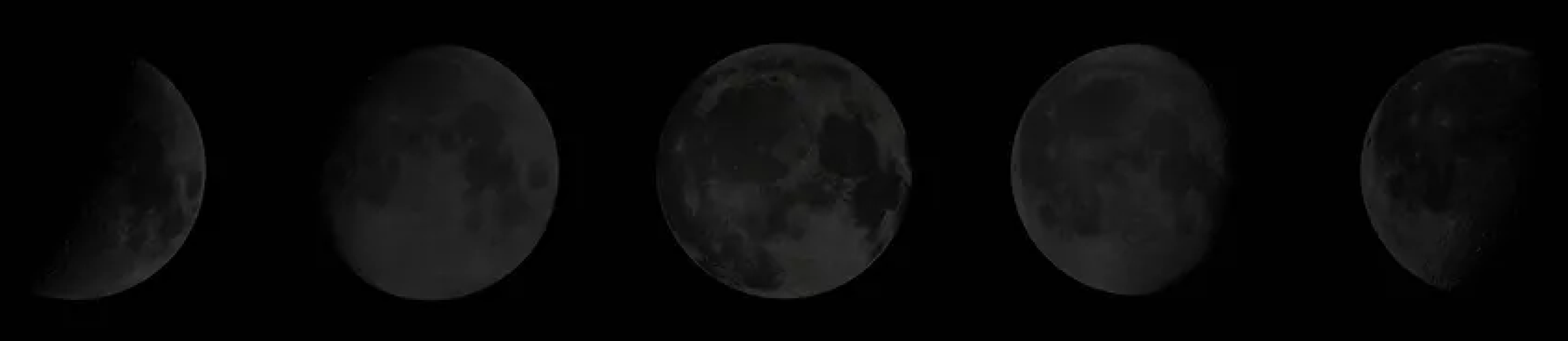 Crazy-Moon-bas de page-01.png