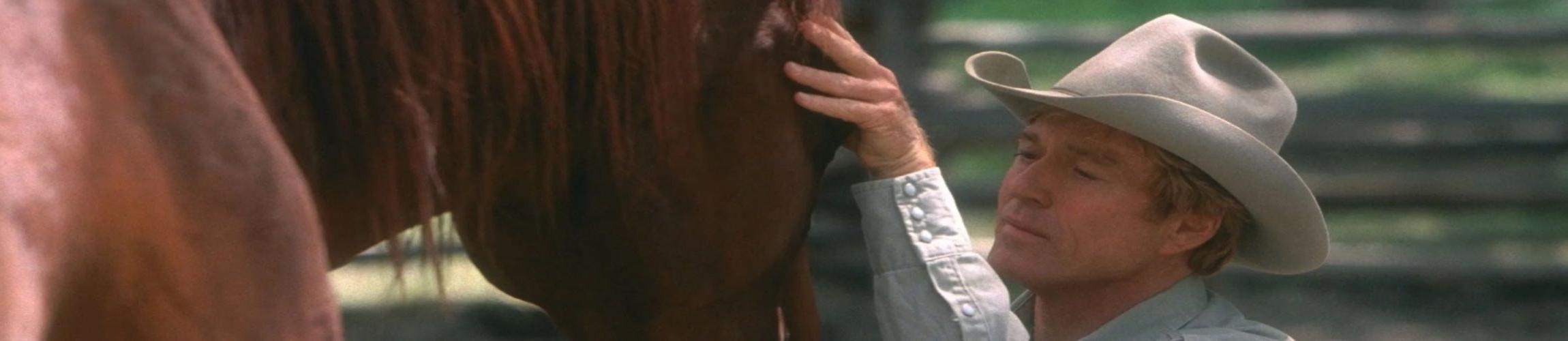 HEADER - L'HOMME QUI MURMURAIT A L'OREILLE DES CHEVAUX.jpg