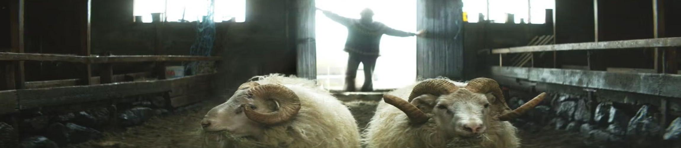 HEADER - BELIERS.jpg