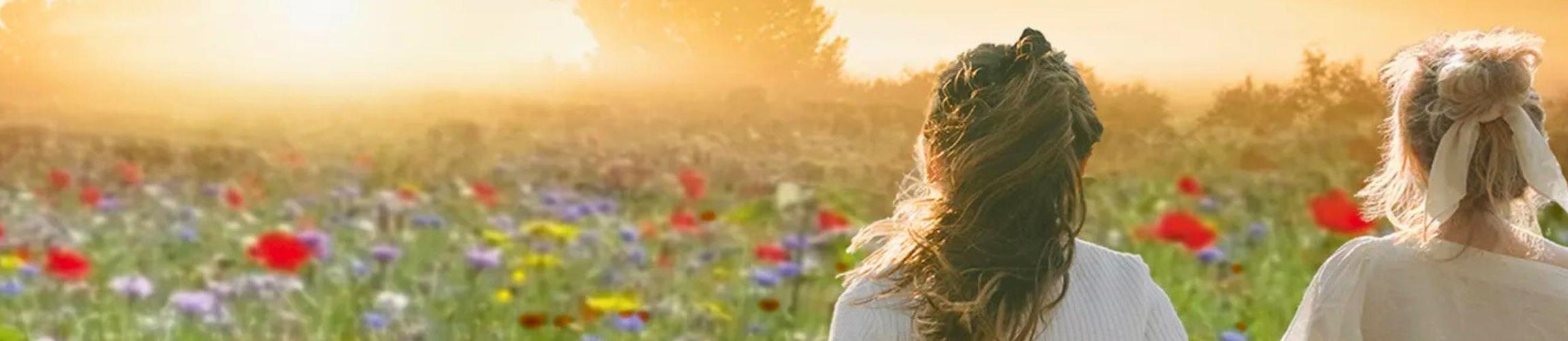 HEADER - ETRE AVEC LES ABEILLES.jpg