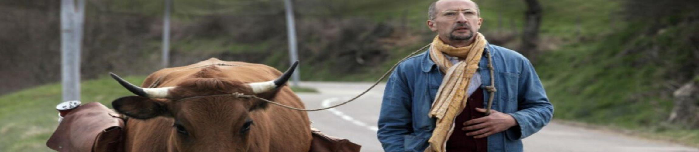 HEADER - LA VACHE.jpg