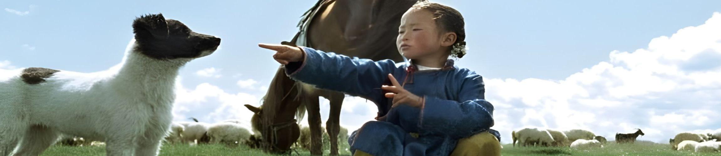 HEADER - LE CHIEN JAUNE DE MONGOLIE.jpg