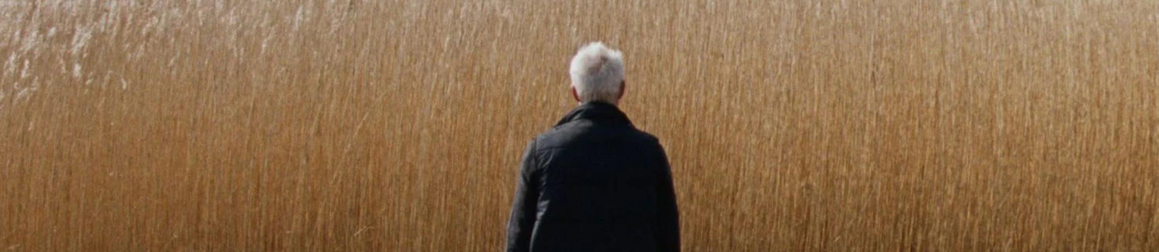 HEADER - REEDLAND.jpg