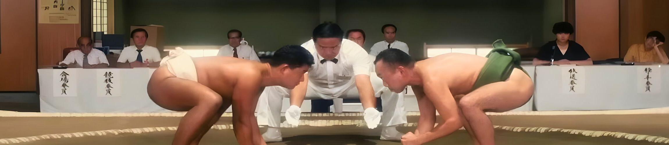 HEADER - SUMO DO, SUMO DON'T.jpg