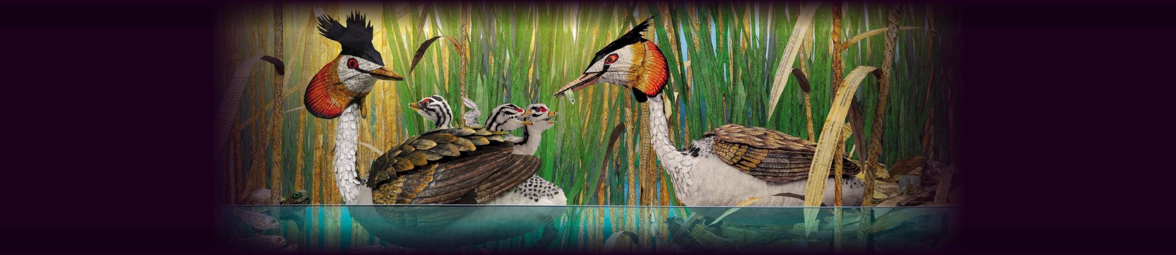 HEADER PA - P'TITES PLANÈTE(S).jpg