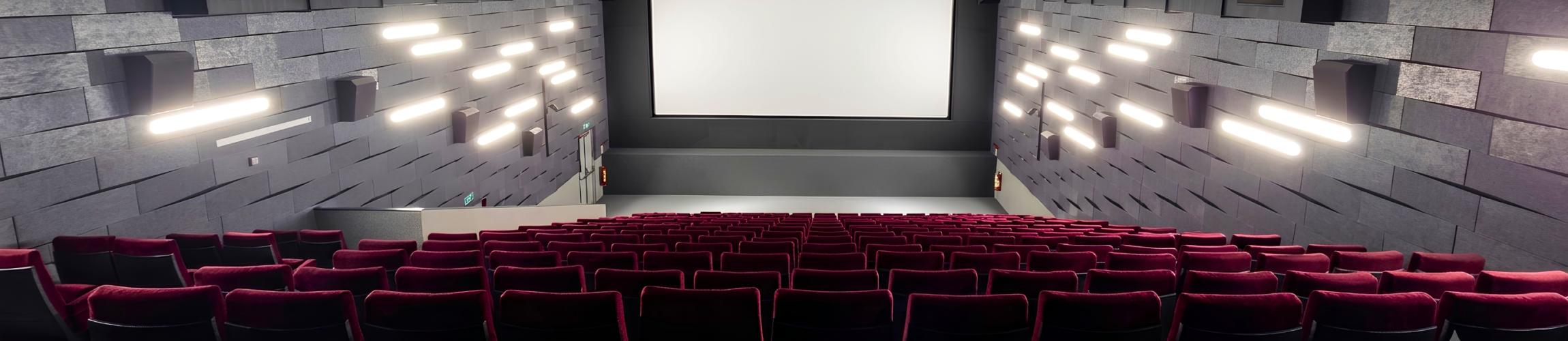 SALLE - MARTIGNY - CASINO.jpg