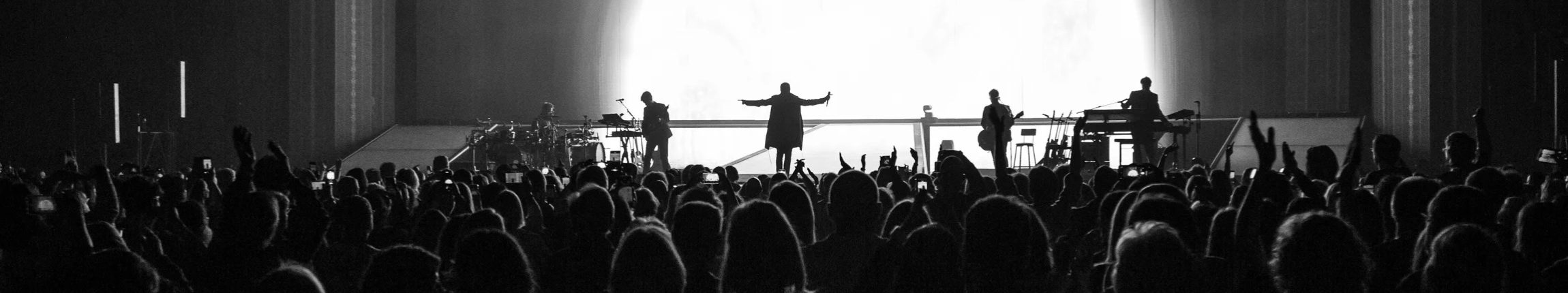 PATRICK BRUEL  LE CONCERT AU CINEMA.png