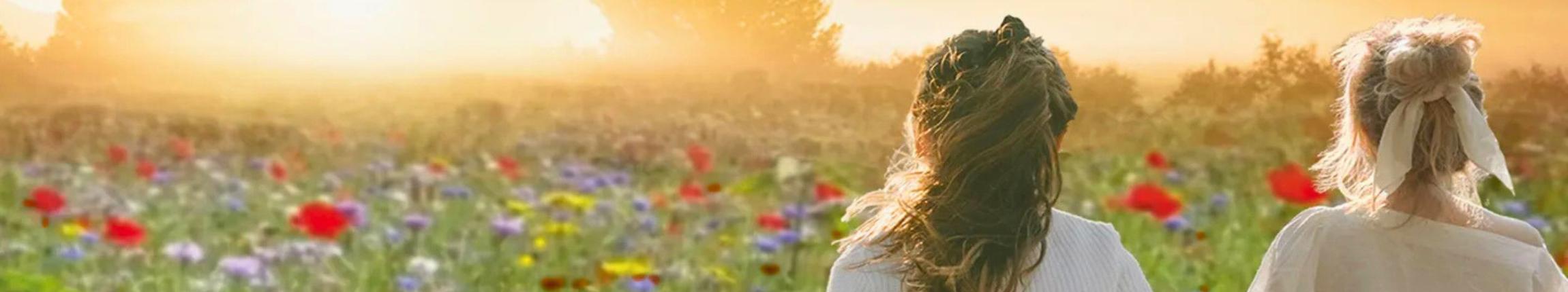 HEADER - ETRE AVEC LES ABEILLES.jpg