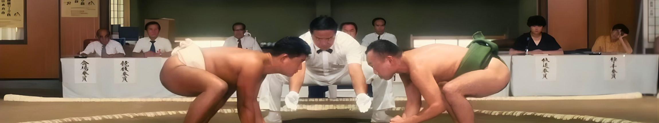 HEADER - SUMO DO, SUMO DON'T.jpg
