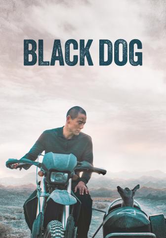 blackdog.jpg