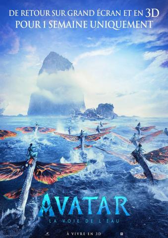 AVATAR 2 - LA VOIE DE L'EAU 3D.jpg