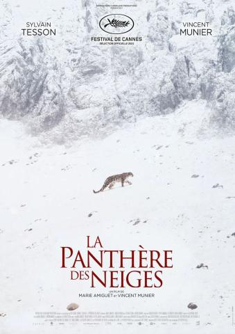LA PANTHERE DES NEIGES.jpg