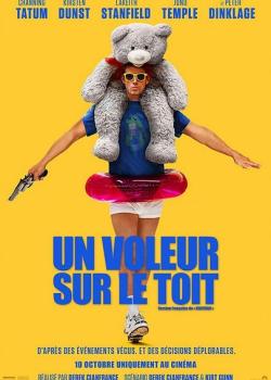 ROOFMAN : UN VOLEUR SUR LE TOIT