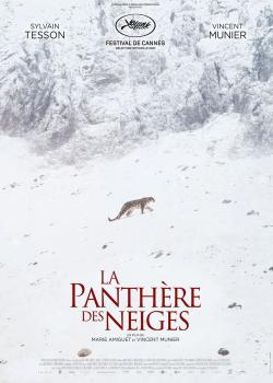 LA PANTHERE DES NEIGES.jpg
