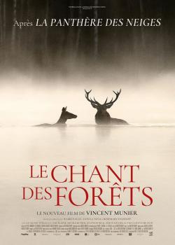 LE CHANT DES FORÊTS.jpg